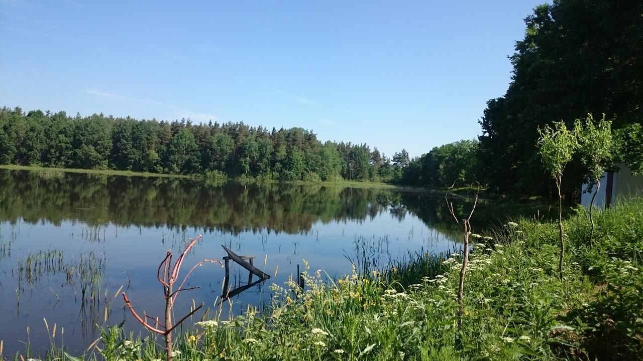 Chata U Smoliku Villa Borovany  Eksteriør billede